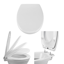 WC-Sitz aus Duroplast mit Schnellverschluss & Soft Close