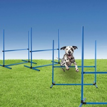 Hunde-Agility-Set, 4-teilig Maße je Hindernis: 65 x 95 x 95cm