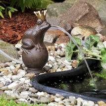 Wasserspeier Froschkönig mit Pumpe