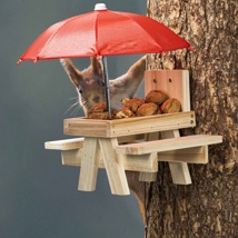 Eichhörnchen Futterstation "Picknick" Maße: 18 x 21 x 19cm