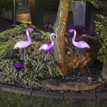 solar garden stake flamingo 3pcs/set size: 20 x 6 x 52cm