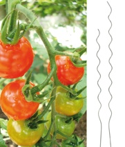 Tomaten-Spiralstab, 180cm Metall, verzinkt
