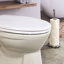Toilet Seat with Quick Release Hinges and with soft-close-function